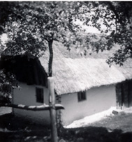 eika image